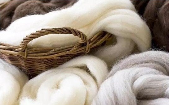 🌸Dernier jour 49% de réduction🔥T-shirt boutonné à manches courtes et imprimé floral pour femme💖