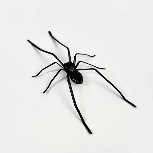 Spider Fridge MagnetšRealistic Spider Magnets, for Refrigerator, Garage Door, or Car