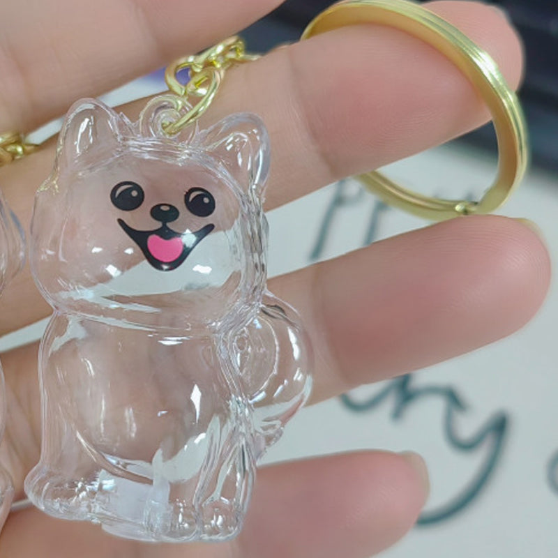 🐶Chien collectionneur de poils Porte-clés breloque boîte de rangement commémorative