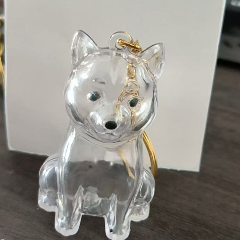 🐶Chien collectionneur de poils Porte-clés breloque boîte de rangement commémorative
