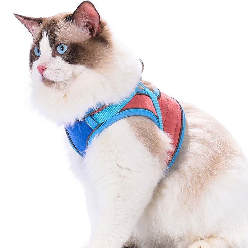 🐱 60% DE RÉDUCTION ! ✨ Harnais Réfléchissant Anti-Évasion pour Chat - Sécurité Nocturne avec Laisse Confortable et Ajustable 🌙🦺