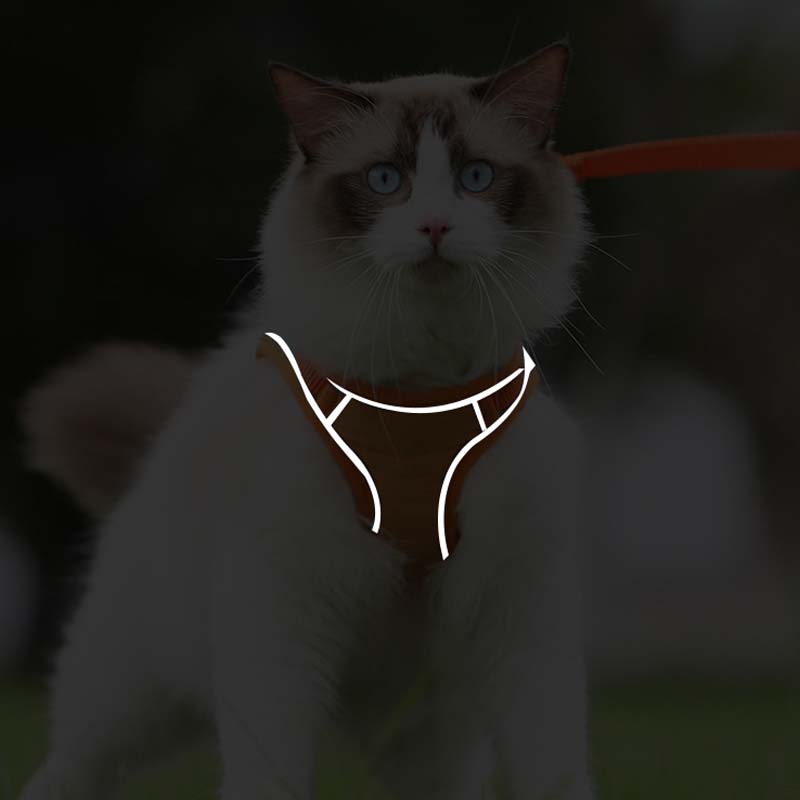🐱 60% DE RÉDUCTION ! ✨ Harnais Réfléchissant Anti-Évasion pour Chat - Sécurité Nocturne avec Laisse Confortable et Ajustable 🌙🦺