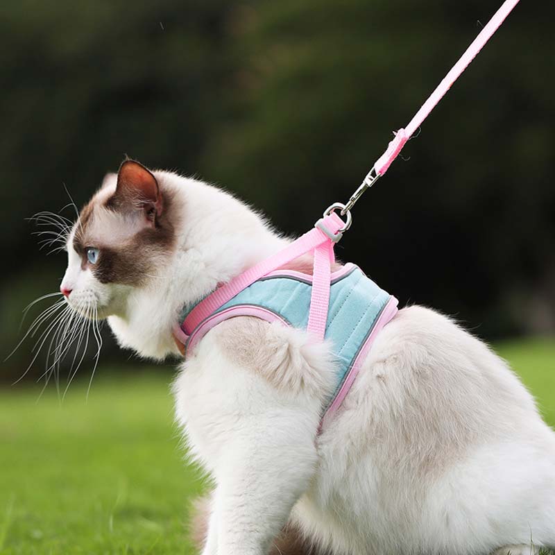 🐱 60% DE RÉDUCTION ! ✨ Harnais Réfléchissant Anti-Évasion pour Chat - Sécurité Nocturne avec Laisse Confortable et Ajustable 🌙🦺