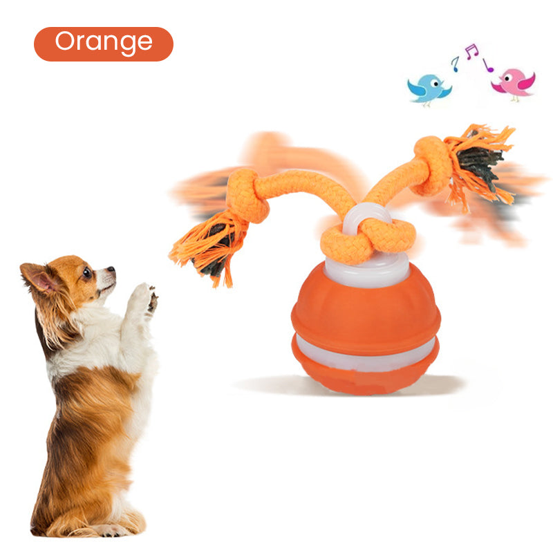 🐱⚽️ 50 % de réduction – La Solution contre l‘Ennui – Balle Interactive pour Chat (Sons & Lumières) 🐾