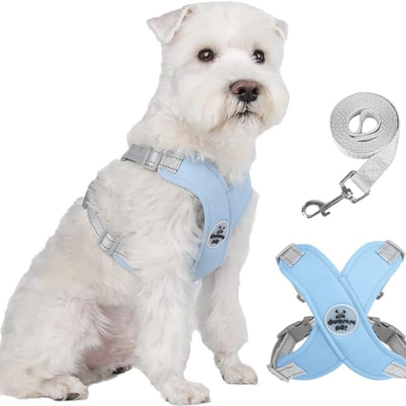 🥳SOLDES EXCEPTIONNELLES 2026🥳💞PLUS DE 50 000 EXEMPLAIRES VENDUS !👵 Kit harnais anti-traction en X pour chien avec laisse