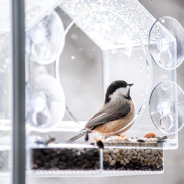 (🔥VENTE CHAUDE MAINTENANT 49% DE RÉDUCTION) -🐦 Mangeoires pour oiseaux de fenêtre