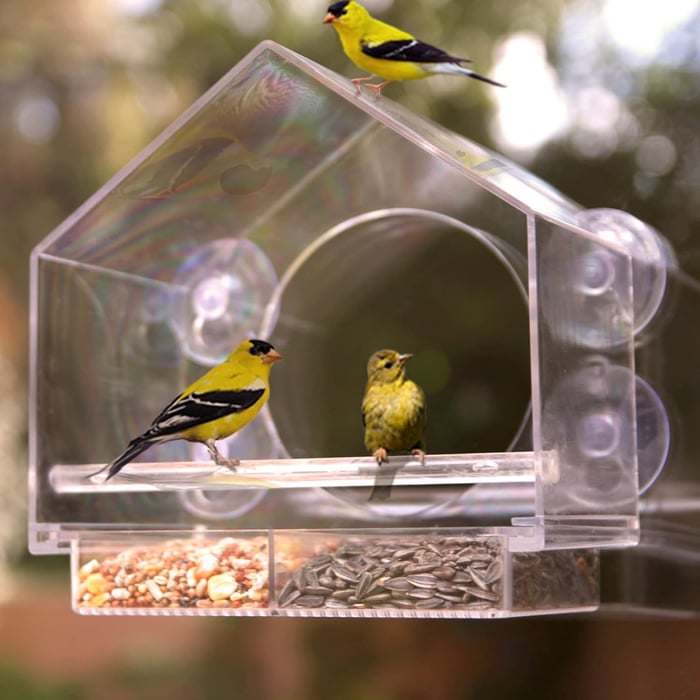 (🔥VENTE CHAUDE MAINTENANT 49% DE RÉDUCTION) -🐦 Mangeoires pour oiseaux de fenêtre