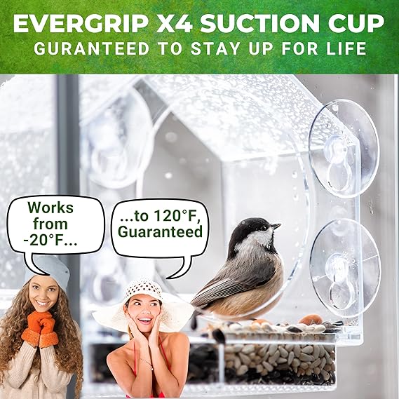 (🔥VENTE CHAUDE MAINTENANT 49% DE RÉDUCTION) -🐦 Mangeoires pour oiseaux de fenêtre