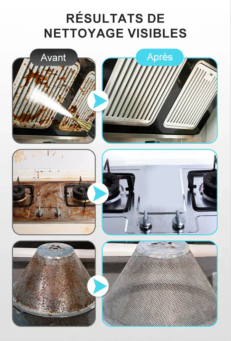 ✨2500W Nettoyeur à Vapeur à Haute Température Pressurisée Portatif✨
