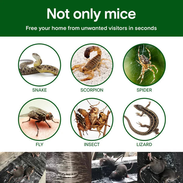 ⏳Spécial à durée limitée⏰Couverture domestique mono-tissée pour souris collante et piège solide🐁