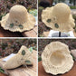 👒Élégant Chapeau de Paille au Crochet avec Détail à Volants
