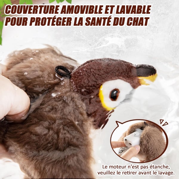 🔥Dernier jour 49% de réduction🐦Jouets à l'herbe à chat pour oiseaux à ailes battantes