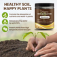 🌱60 % DE RÉDUCTION! 🏗️ Agent d‘Ameublissement pour Sol – Améliore la Structure, Drainage & Fertilité 🌿