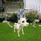 🔥Halloween Promotion 49% OFF💀Skeleton Cow & Horse Decorative Prop