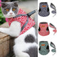 🔥Cat Vest Harnais et Laisse Anti-casse Poitrine Strap Cat Vêtements 🔥Achetez-en 2, livraison gratuite🔥