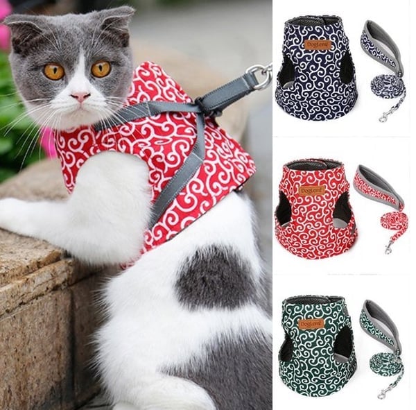 🔥Cat Vest Harnais et Laisse Anti-casse Poitrine Strap Cat Vêtements 🔥Achetez-en 2, livraison gratuite🔥