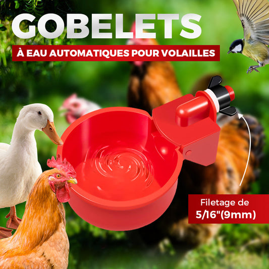 ✨Gobelets automatiques pour volailles avec filetage de 5/16 pouces