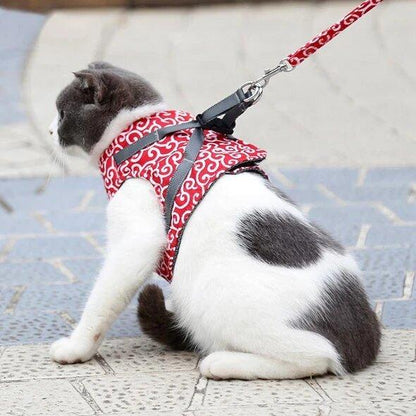 🔥Cat Vest Harnais et Laisse Anti-casse Poitrine Strap Cat Vêtements 🔥Achetez-en 2, livraison gratuite🔥