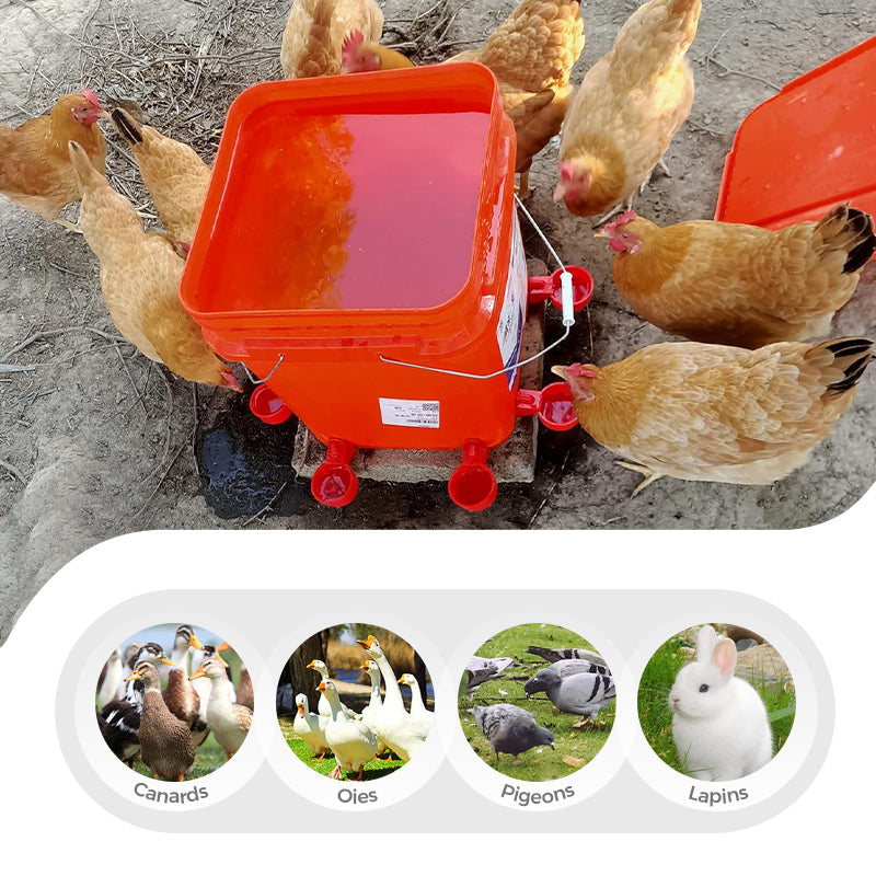 ✨Gobelets automatiques pour volailles avec filetage de 5/16 pouces