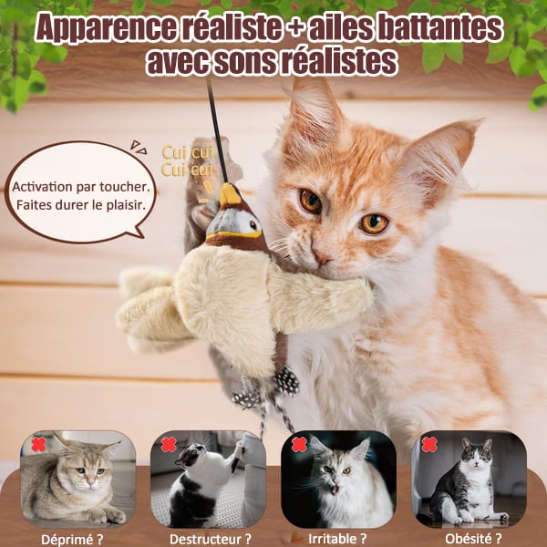 🔥Dernier jour 49% de réduction🐦Jouets à l'herbe à chat pour oiseaux à ailes battantes