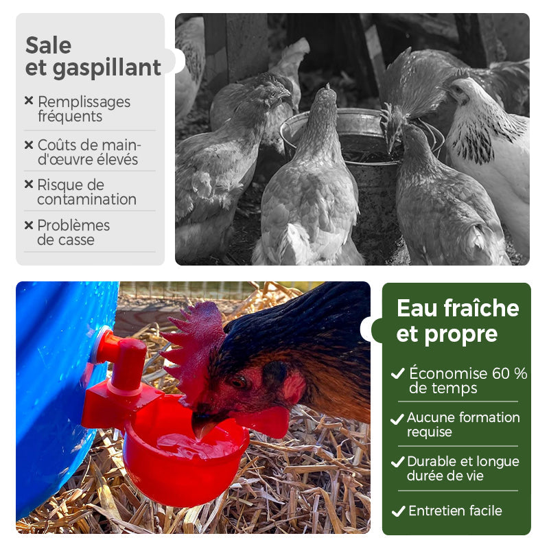 ✨Gobelets automatiques pour volailles avec filetage de 5/16 pouces