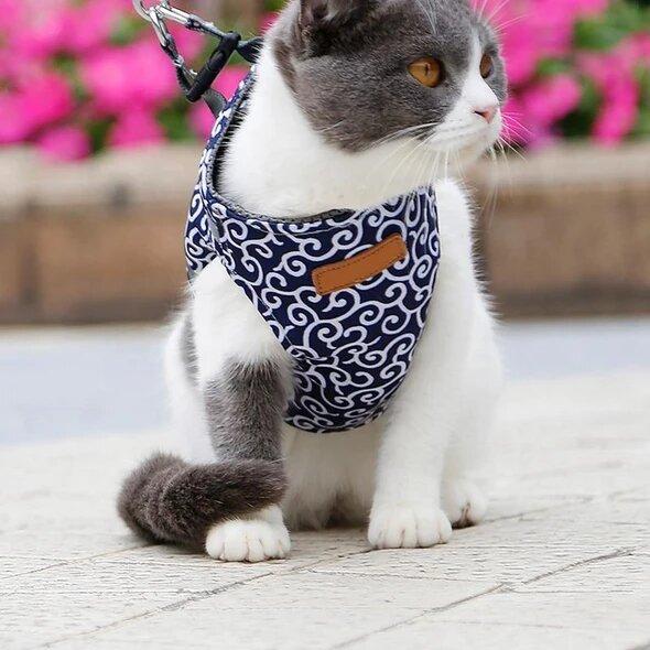 🔥Cat Vest Harnais et Laisse Anti-casse Poitrine Strap Cat Vêtements 🔥Achetez-en 2, livraison gratuite🔥