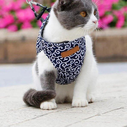 🔥Cat Vest Harnais et Laisse Anti-casse Poitrine Strap Cat Vêtements 🔥Achetez-en 2, livraison gratuite🔥