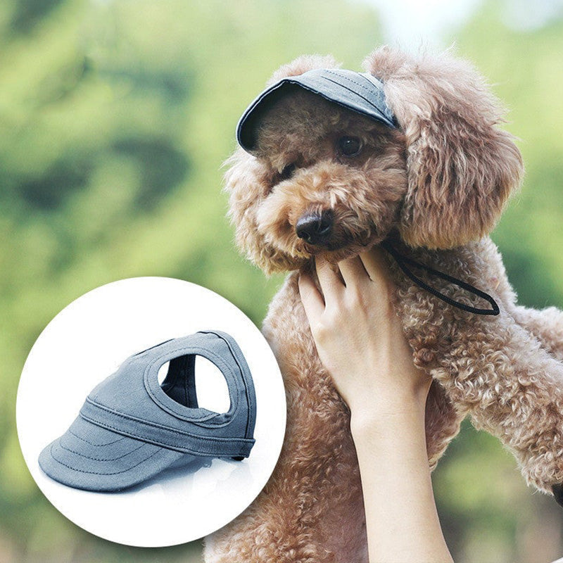Chapeau pour chien