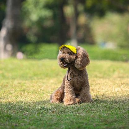 Chapeau pour chien