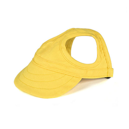 Chapeau pour chien