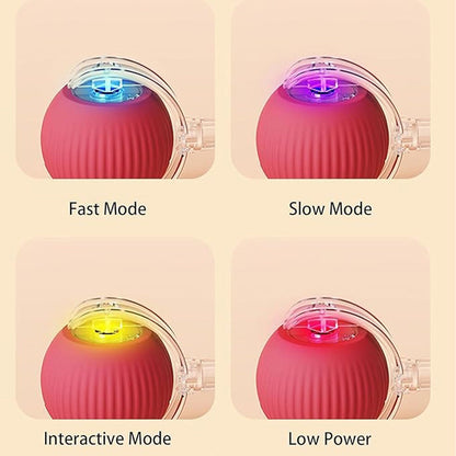 Boule Roulante Automatique Intelligente pour Animaux de Compagnie
