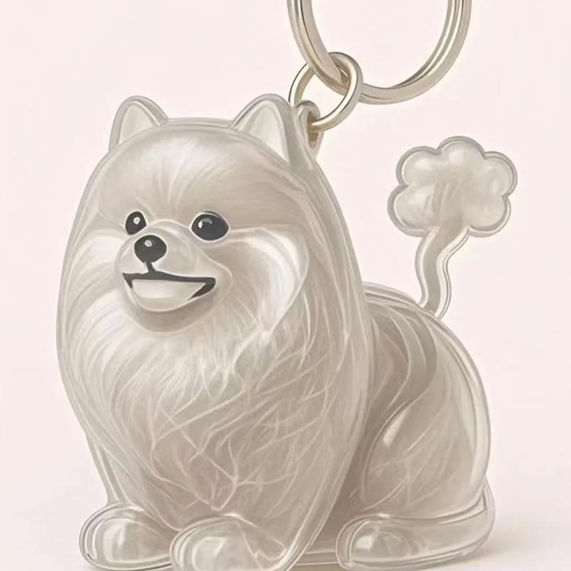 🐶Chien collectionneur de poils Porte-clés breloque boîte de rangement commémorative