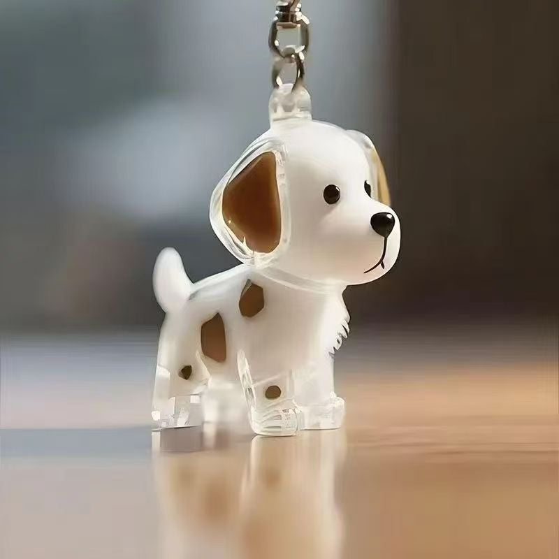 🐶Chien collectionneur de poils Porte-clés breloque boîte de rangement commémorative