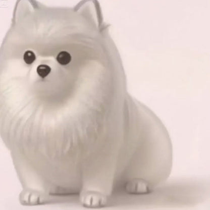 🐶Chien collectionneur de poils Porte-clés breloque boîte de rangement commémorative