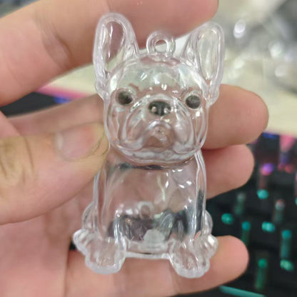 🐶Chien collectionneur de poils Porte-clés breloque boîte de rangement commémorative