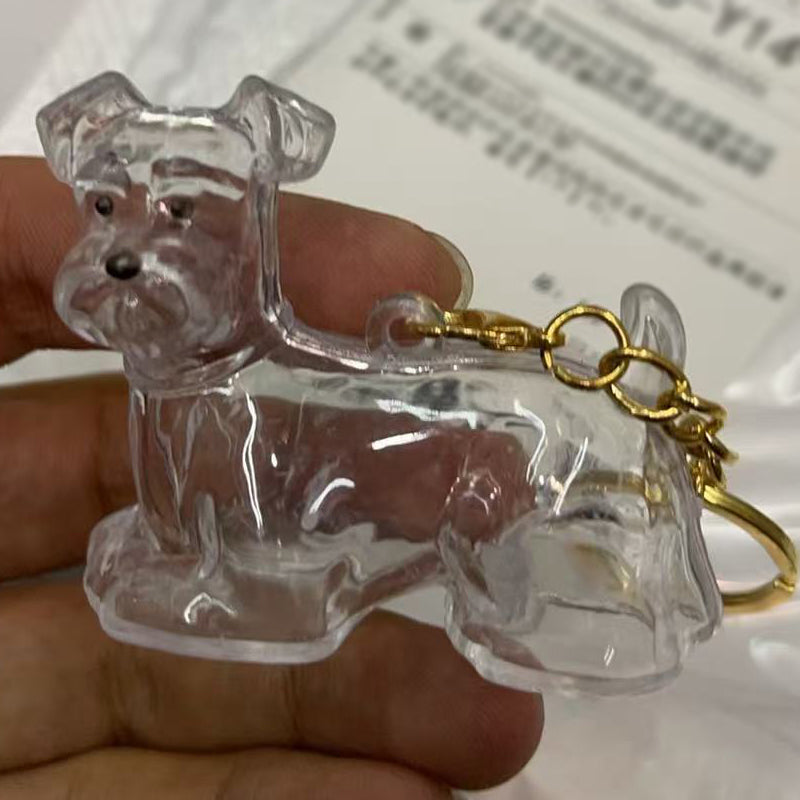 🐶Chien collectionneur de poils Porte-clés breloque boîte de rangement commémorative