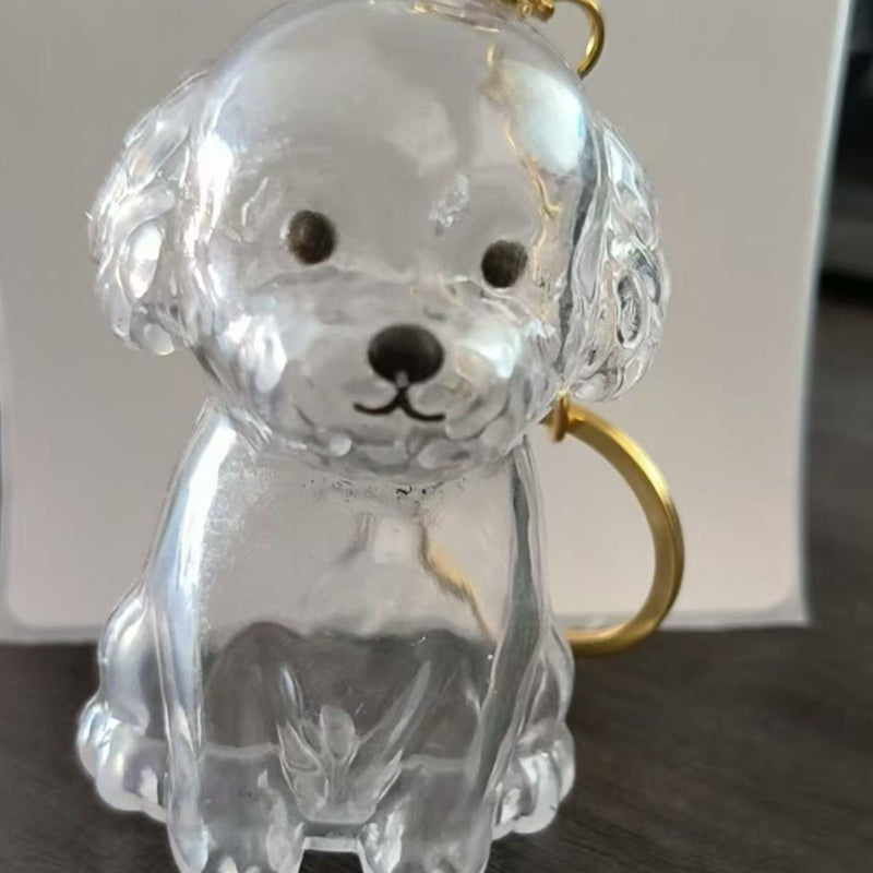 🐶Chien collectionneur de poils Porte-clés breloque boîte de rangement commémorative