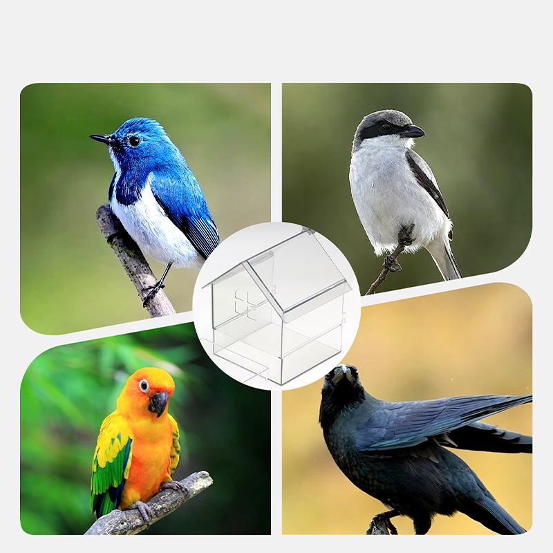 🐦🔥 50 % DE RÉDUCTION – Mangeoire externe coulissante pour perroquets ✨