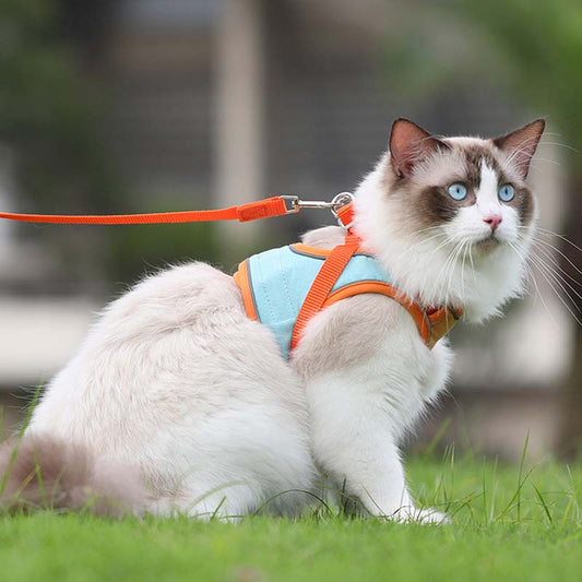 🐱 60% DE RÉDUCTION ! ✨ Harnais Réfléchissant Anti-Évasion pour Chat - Sécurité Nocturne avec Laisse Confortable et Ajustable 🌙🦺