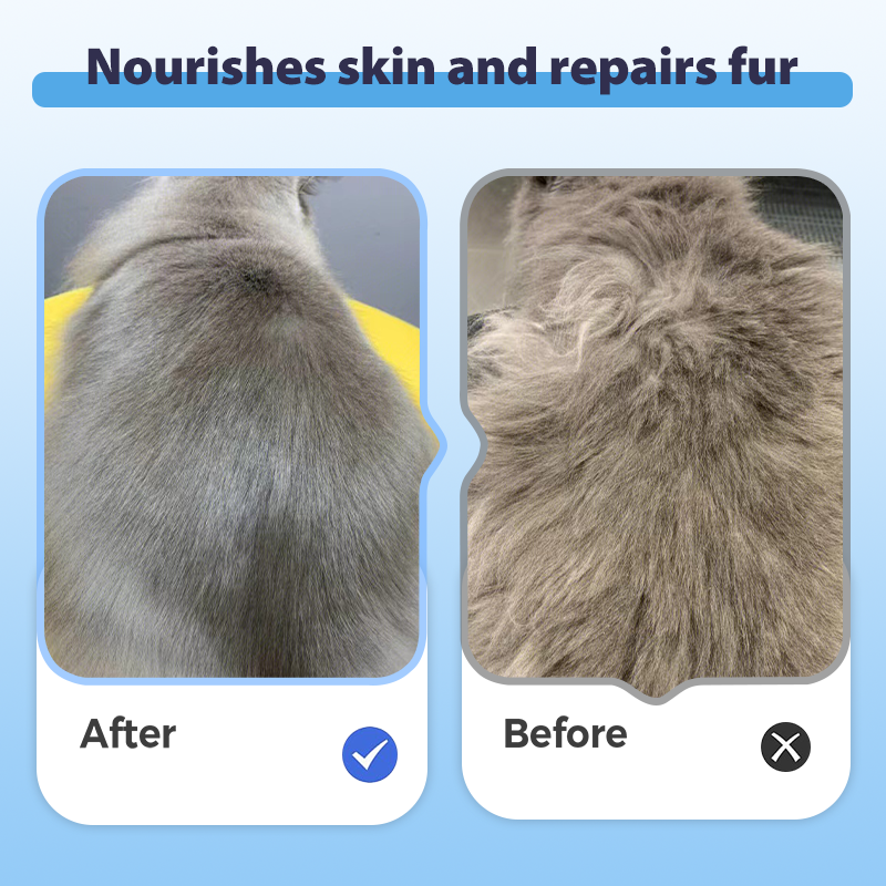Shampooing tout-en-un doux et rafraîchissant pour animaux de compagnie