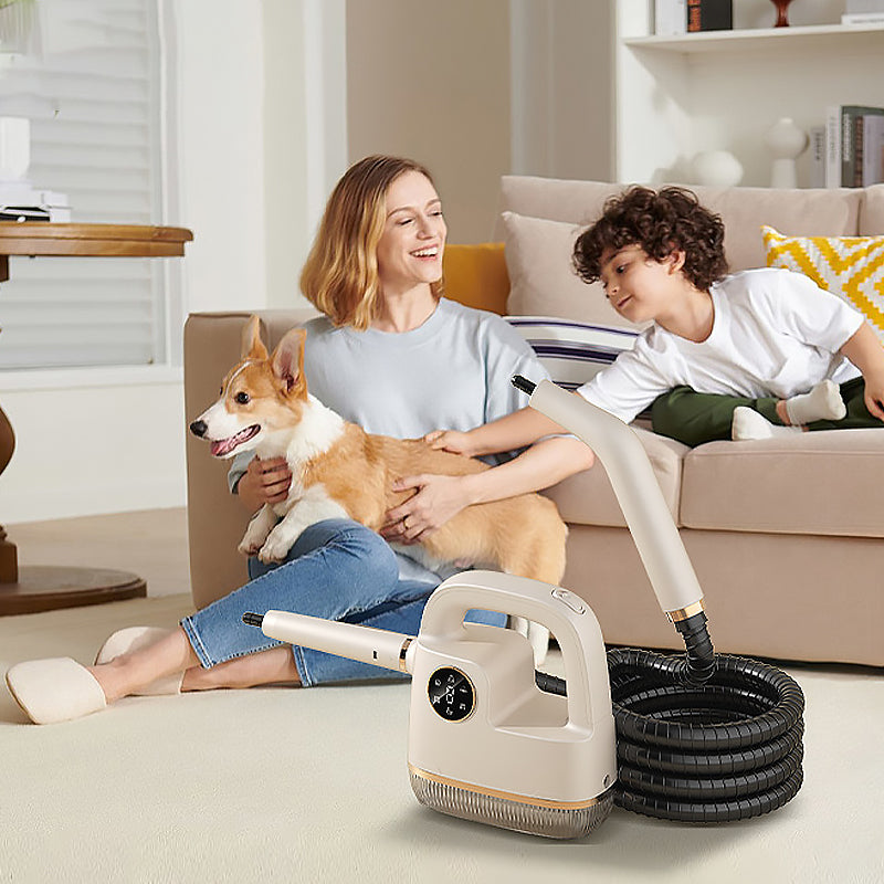 Ensemble de nettoyeur à vapeur portable à haute température