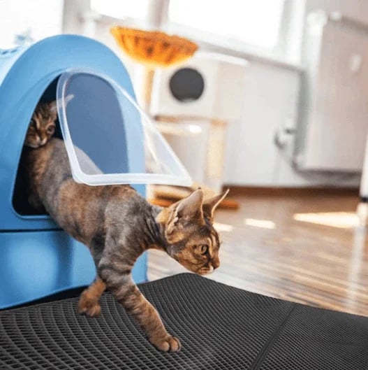 ⏰Prévente de Noël 50 % de réduction🔥Tapis antidérapant pour litière pour chat