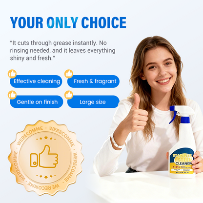 Nettoyant professionnel pour l'acier inoxydable, pour la maison et la cuisine