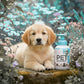 Shampoing nettoyant sans rinçage pour chiens et chats
