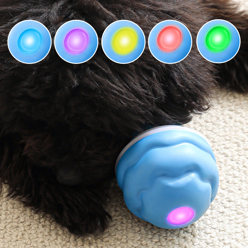 Balle interactive électronique apaisante pour animaux de compagni