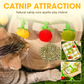 ✨ 62% de réduction ! 🐱 Plus de nuits tranquilles ! Ficelle de jeu en forme de fruit pour fatiguer votre chat naturellement