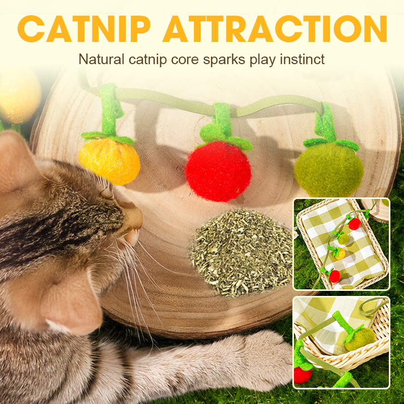 ✨ 62% de réduction ! 🐱 Plus de nuits tranquilles ! Ficelle de jeu en forme de fruit pour fatiguer votre chat naturellement
