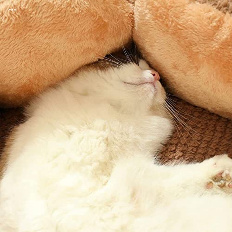 Lit pour animaux en forme de pétale Cozy Cactus