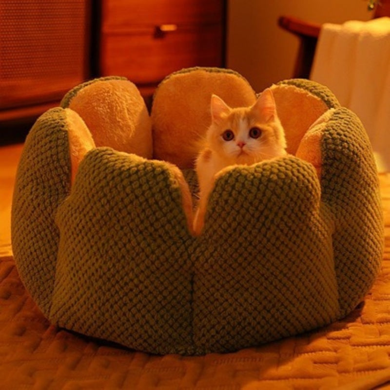 Lit pour animaux en forme de pétale Cozy Cactus