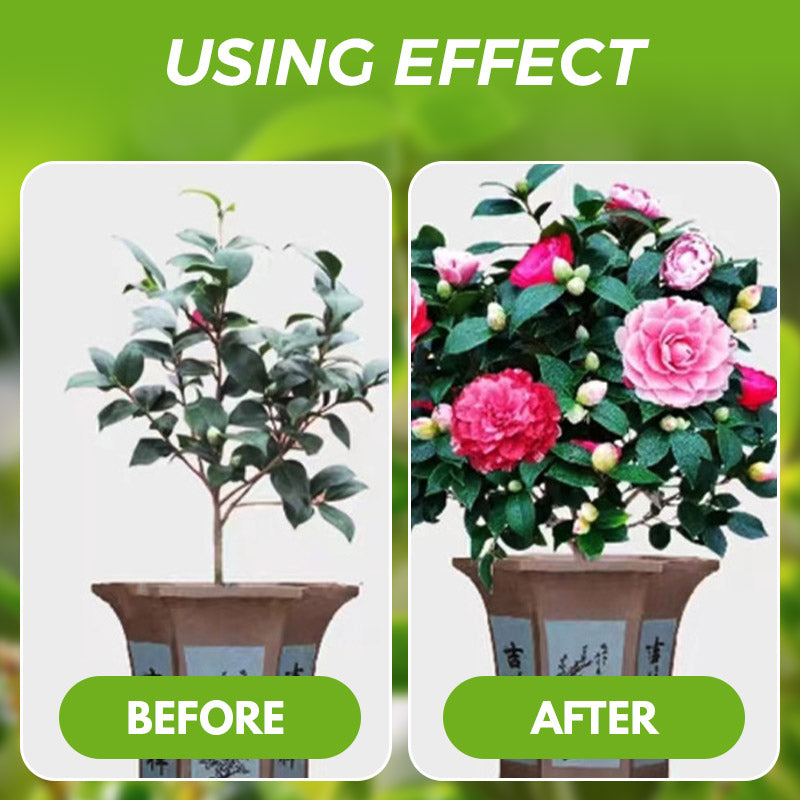🌱💧 Vitalité Profesionnelle pour Toutes Vos Plantes - Engrais Concentré Équilibré - Aucune Dilution, Résultats Garantis 【Promo Flash -50%】